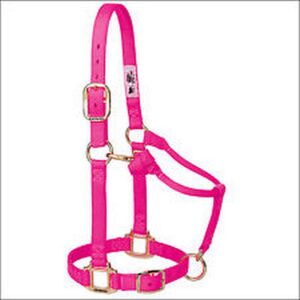 Econo Horse Halter Colt Hot Pink 2 30Q