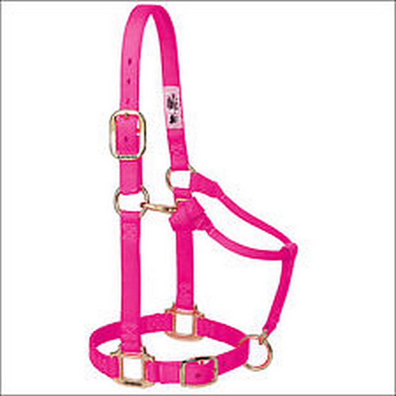 Econo Horse Halter Colt Hot Pink 2 30Q