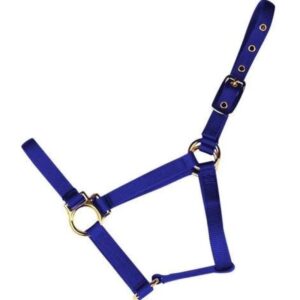 Econo Horse Halter Pony Blue 1 20Q