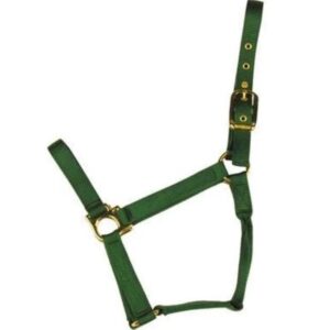 Econo Horse Halter Pony Green 1 20Q
