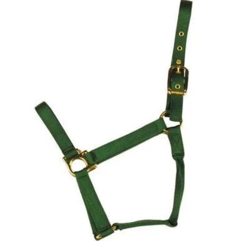Econo Horse Halter Pony Green 1 20Q