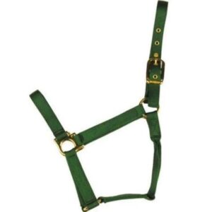 Econo Horse Halter Small Green 5 80Q