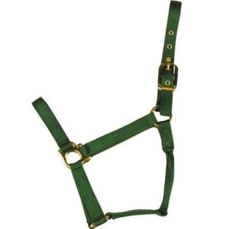 Econo Horse Halter Small Green 5 80Q