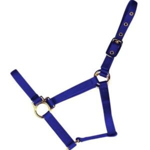 Econo Horse Halter Yearling Blue 3 50Q
