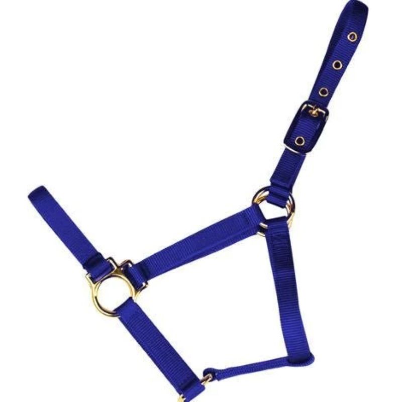 Econo Horse Halter Yearling Blue 3 50Q