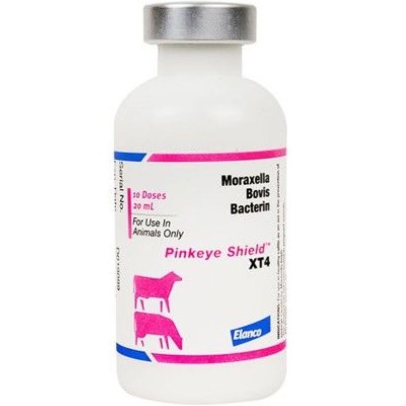 Elanco XT4 Pinkeye Cattle Vaccine 10 Dose 20 ml