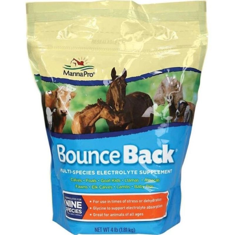 Manna Pro Bounce Back Horse Supplement 4 lb