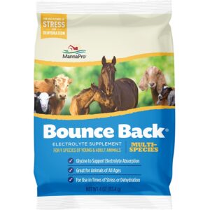 Manna Pro Bounce Back Horse Supplement Paste 4 oz