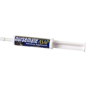 Nursemate Foal Paste 30 ml