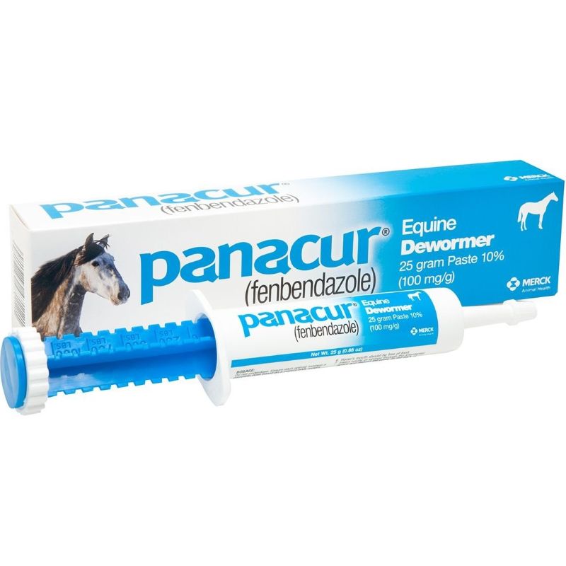 Panacur Horse Wormer 25 gm