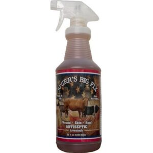 Spurrs Big Fix Antiseptic Spray 32 oz