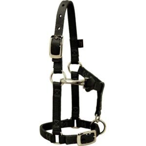 Valhoma Mini Halter Black with Adjustable Chain