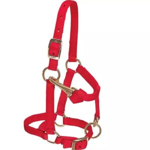 Valhoma Mini Halter Red with Adjustable Chain