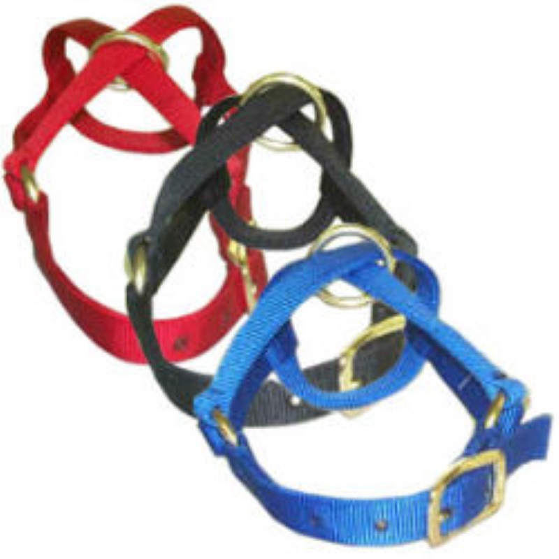 Valhoma Nanny Goat Halter