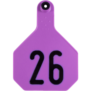 Y-Tex 4 Star Purple Ear Tags 26-50