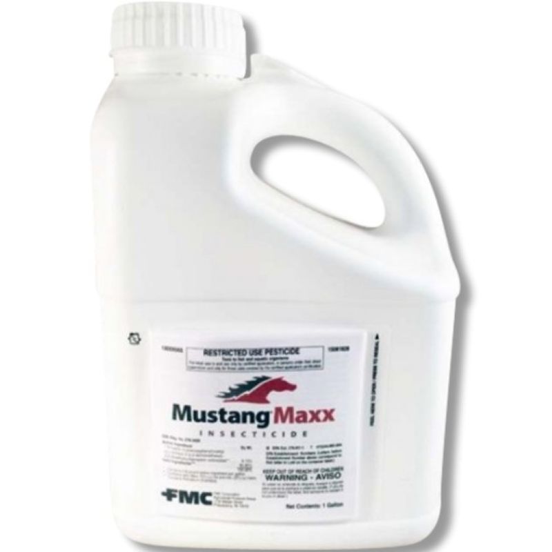 Mustang Maxx Insecticide 1 gal