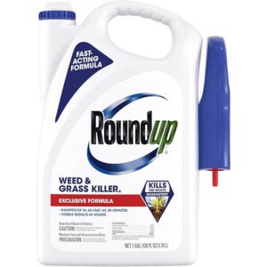 Roundup Weed & Grass Killer RTU 1 gal