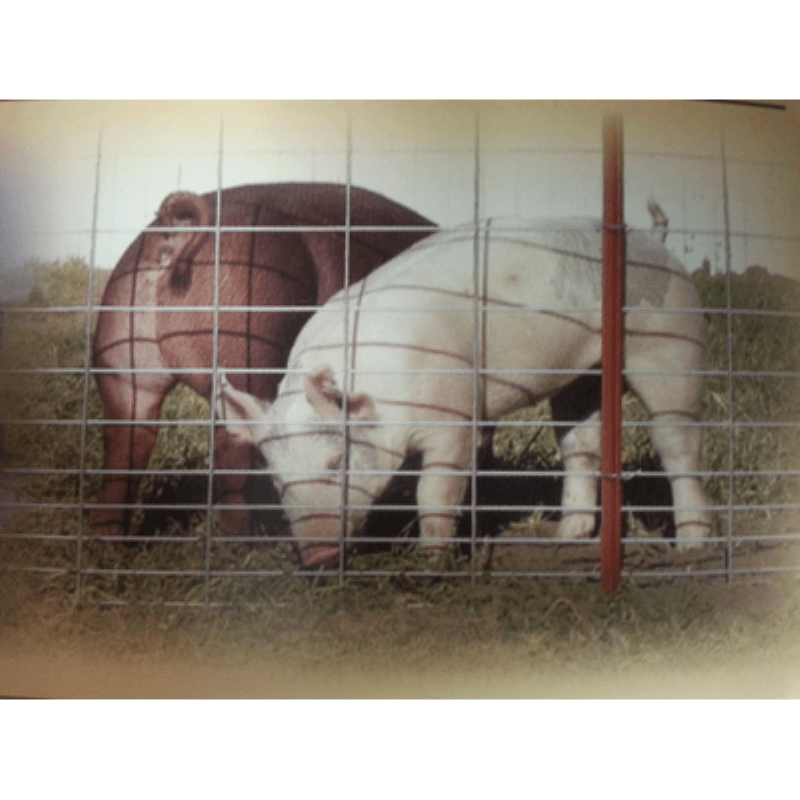 Wire Hog Panel 16’x34”x3-16”