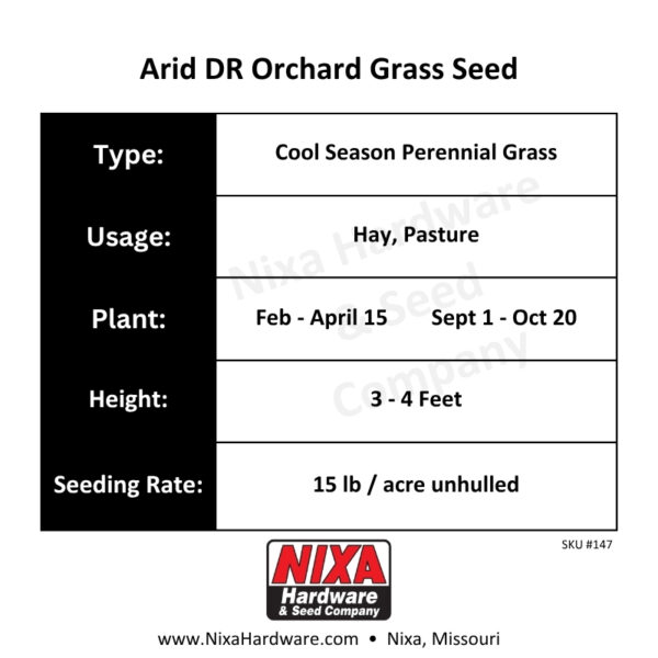 Arid DR Orchard Grass Seed Planting Guide