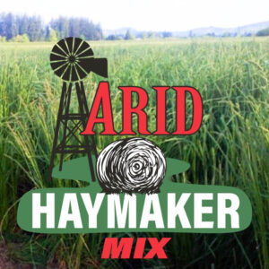 Arid Haymaker Seed Mix Orchard and Red Clover