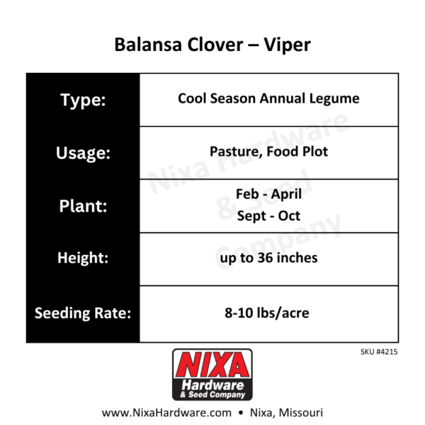 Balansa Clover Seed Planting Guide