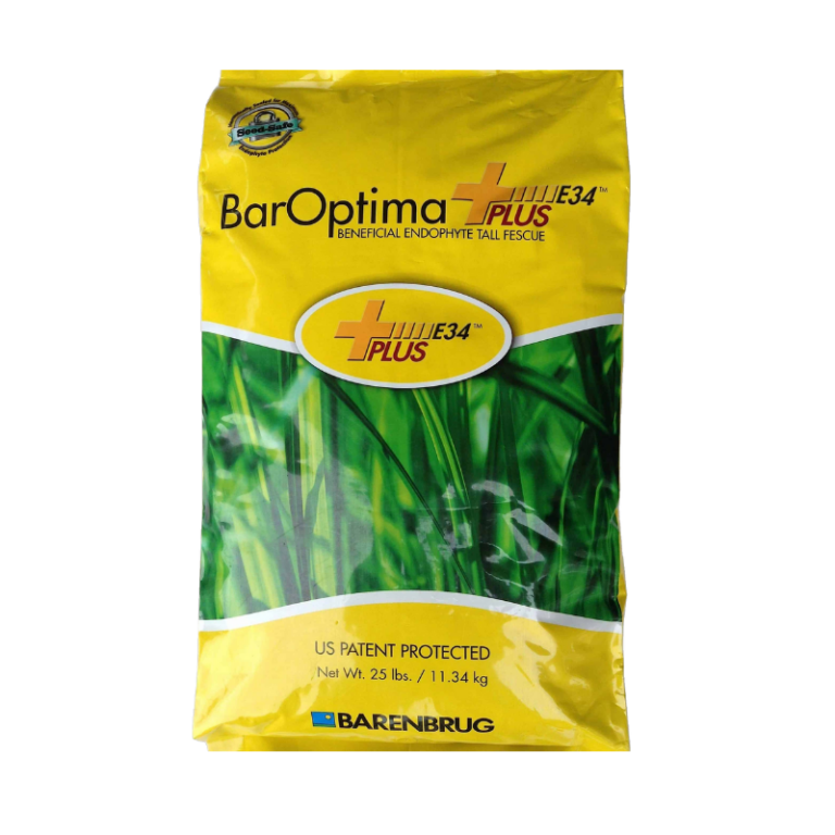 Bar Optima E34 Tall Fescue Seed Bag