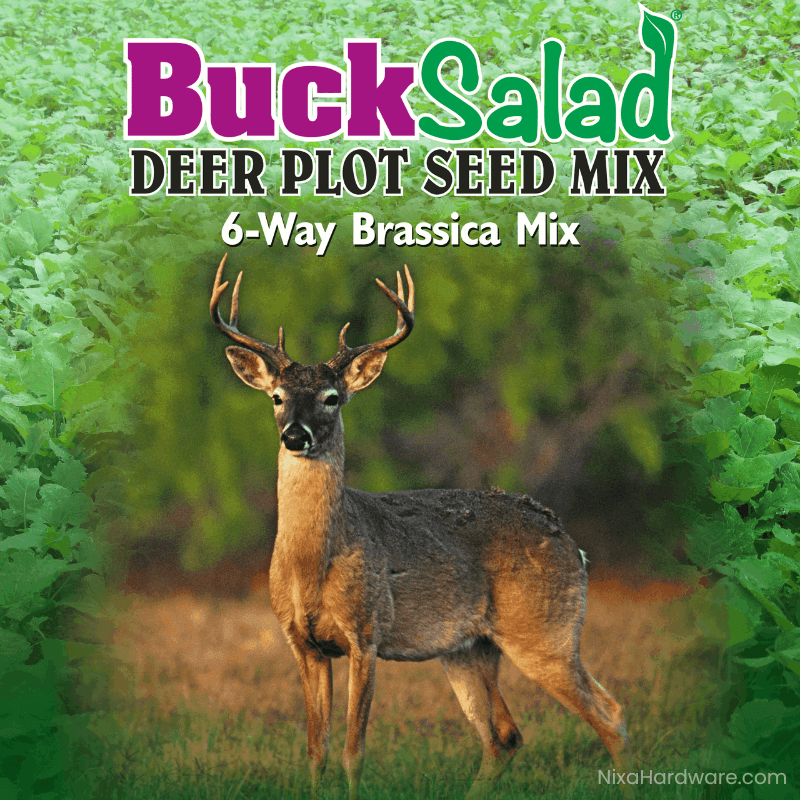 Buck Salad Deer Plot Seed Mix with deer standing in field