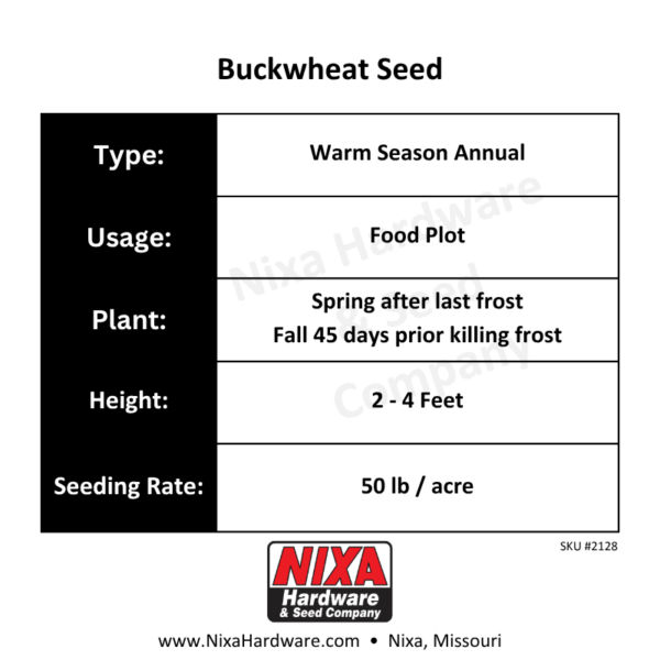 Buckwheat Seed Planting Guide
