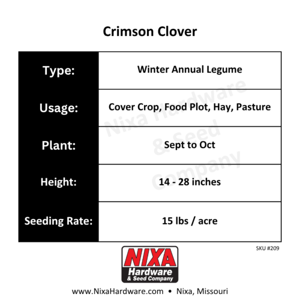 Crimson Clover Seed Planting Guide