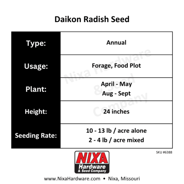 Daikon Radish Seed Planting Guide