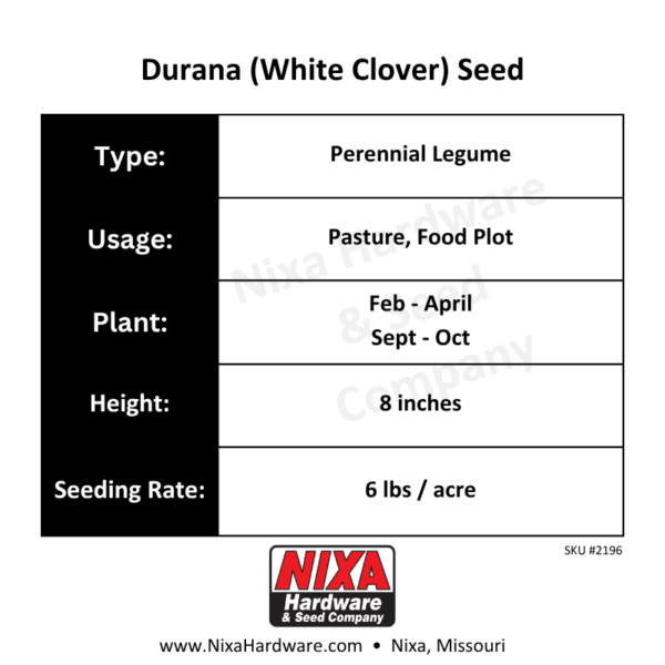 Durana White Clover Seed Planting Guide
