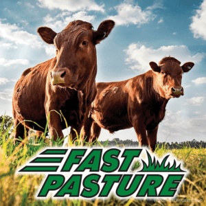 Fast Pasture Seed Mix in field with cows and logo