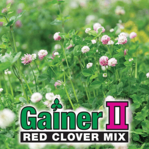 Gainer II Red Clover Mix Seed growing in field with logo
