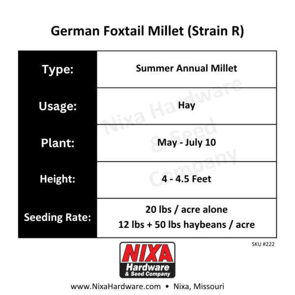 German Foxtail Millet Strain R Seed Planting Guide
