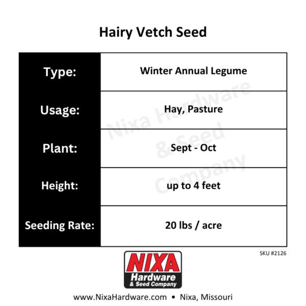 Hairy Vetch Seed Planting Guide