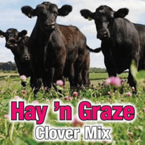 Hay ‘n Graze Clover Seed Mix growing in field with cows and logo