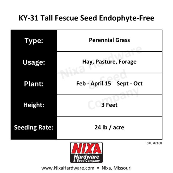 KY-31 Tall Fescue Seed Endophyte-Free Planting Guide