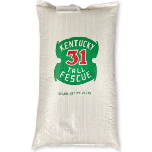 Kentucky 31 Tall Fescue Seed