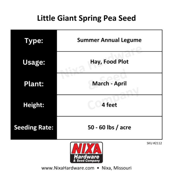 Little Giant Spring Pea Seed Planting Guide