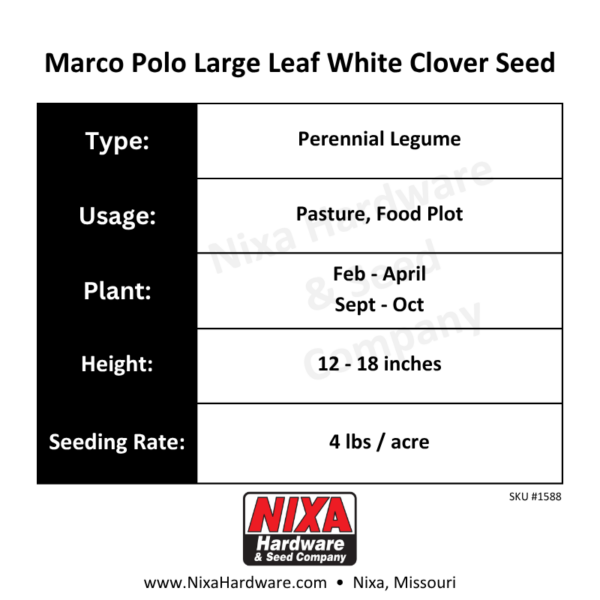 Marco Polo Large Leaf White Clover Seed Planting Guide