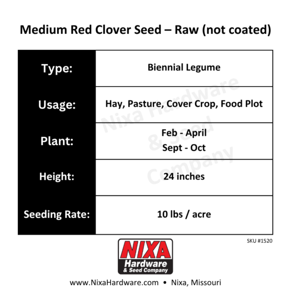 Medium Red Clover Seed Raw Planting Guide