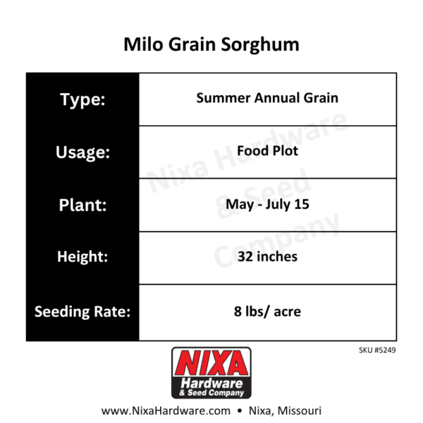 Milo Grain Sorghum Seed Planting Guide