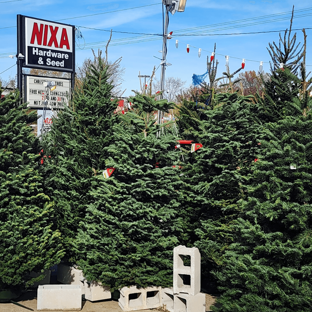 Nixa Hardware & Seed Co Live Christmas Trees
