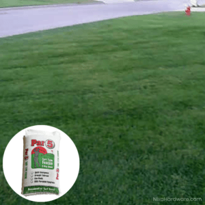 Par 5 Turf-Type Tall Fescue Lawn Grass Seed