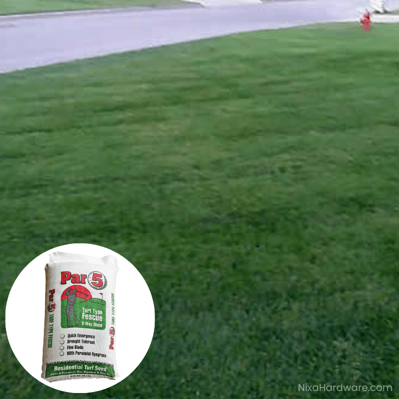 Par 5 Turf-Type Tall Fescue Lawn Grass Seed