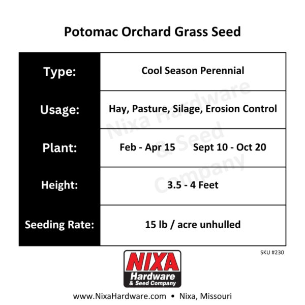 Potomac Orchard Grass Seed Planting Guide