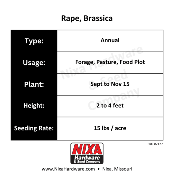 Rape Brassica Seed Planting Guide
