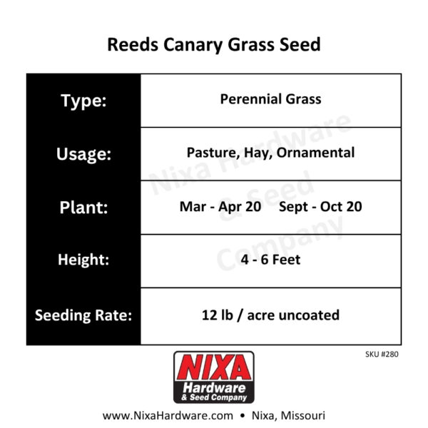 Reeds Canary Grass Seed Planting Guide