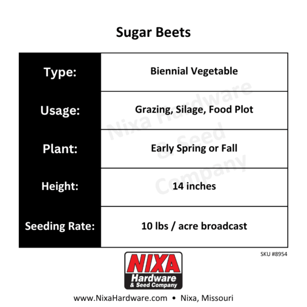 Sugar Beets Seed Planting Guide