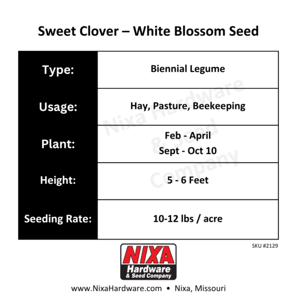 Sweet Clover White Blossom Seed Planting Guide